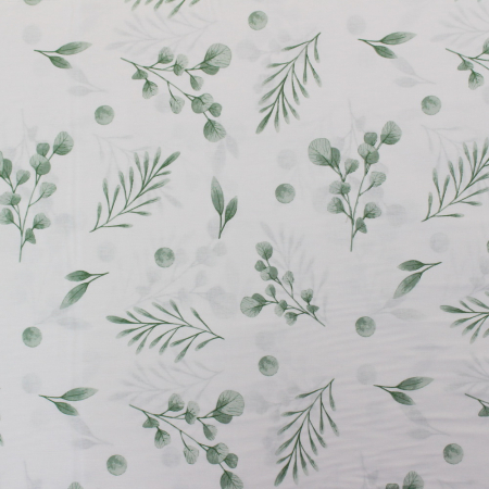 Ranforce alb cu frunze verzi [1]