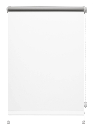 Stor mini Gardinia, Termo alb 905 [1]