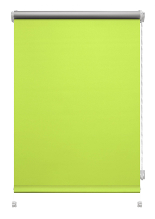 Stor mini Gardinia, Termo verde 903 [1]