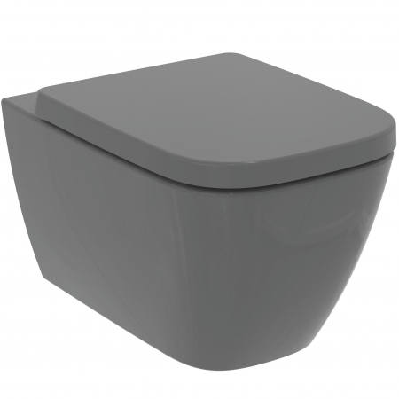 Vase WC suspendate - Vas WC suspendat Rimless I.Life B gri lucios