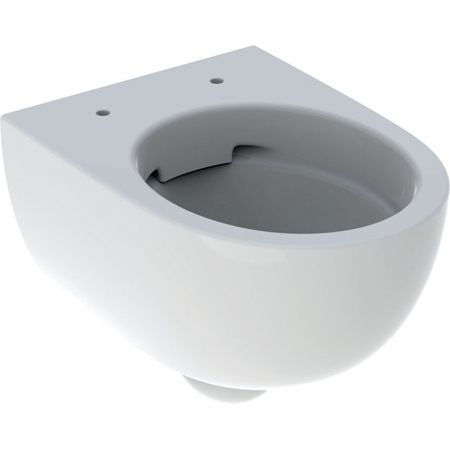 Vase WC suspendate - Vas WC suspendat 49 cm Selnova