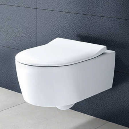 WC  Soul cu capac VILLEROY&BOCH 4656HR01 [1]