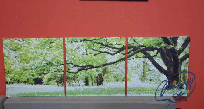 Set 3 picturi pe numere, cu sasiu, Stejar peren, 50 x 150 cm [2]