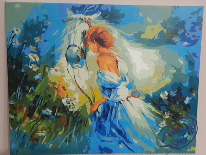 Set pictura pe numere, cu sasiu, Vis alb - Willem Haenraet, 40x50 cm [3]