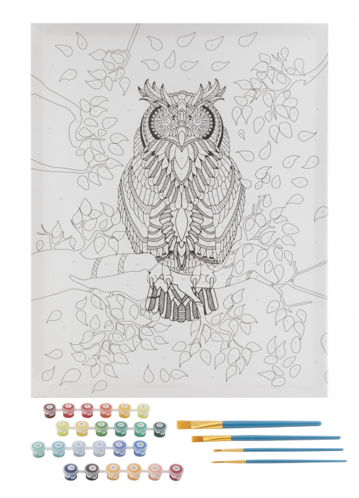 Set pictura pe numere, cu sasiu, Bufnita, 40x50 cm [2]