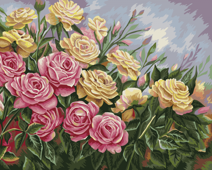 Set pictura pe numere, cu sasiu, Trandafiri, 40x50 cm [1]