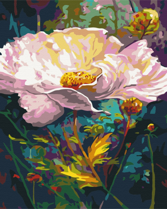 Set pictura pe numere, cu sasiu, Floare Delicata, 40x50 cm [1]