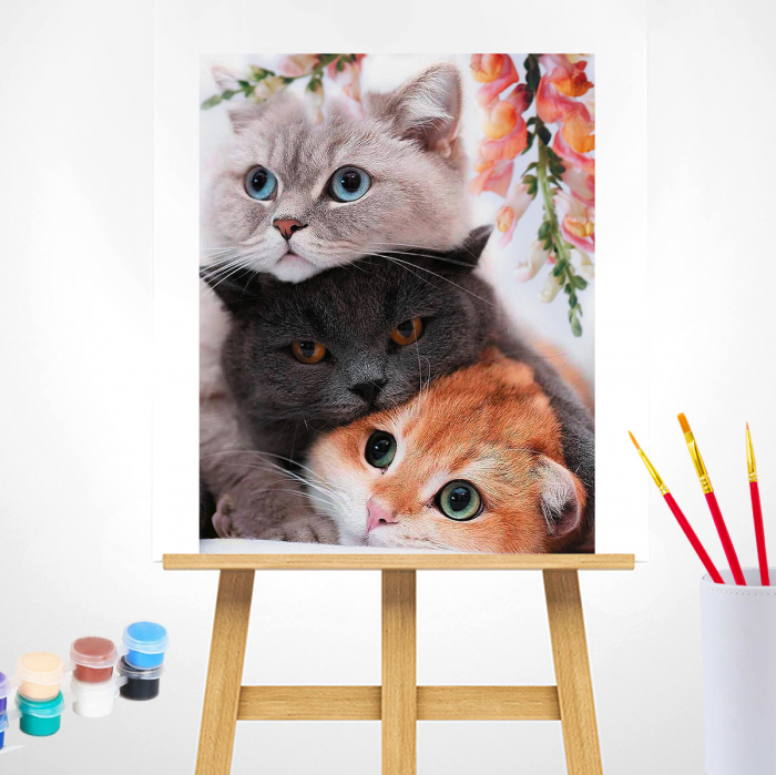 Set pictura pe numere, cu sasiu, 3 pisoi, 40x50 cm [2]