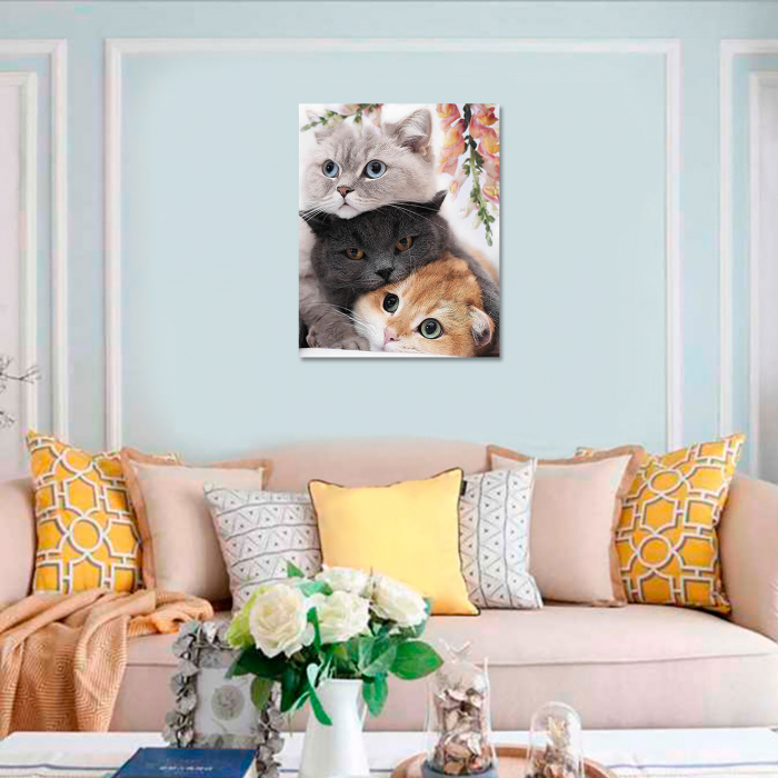 Set pictura pe numere, cu sasiu, 3 pisoi, 40x50 cm [3]