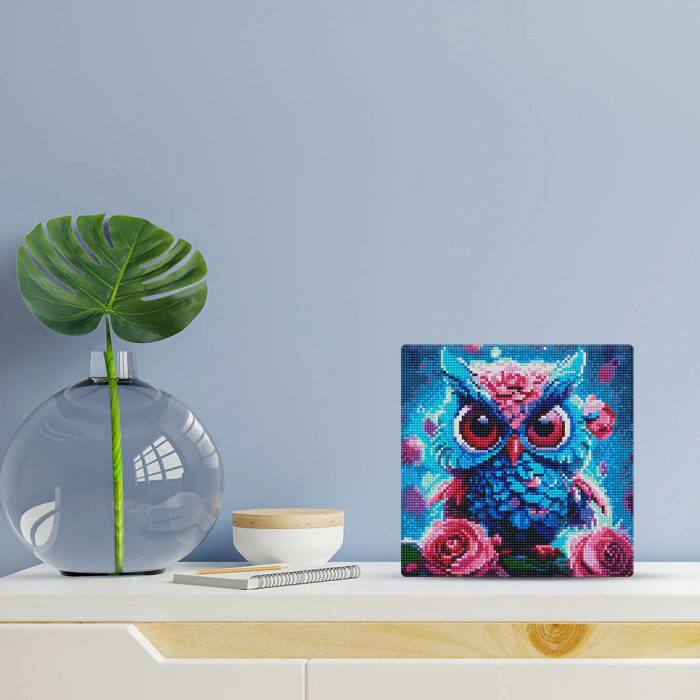 Mini set goblen cu diamante, cu sasiu, Pui de bufnita, 25x25 cm [6]