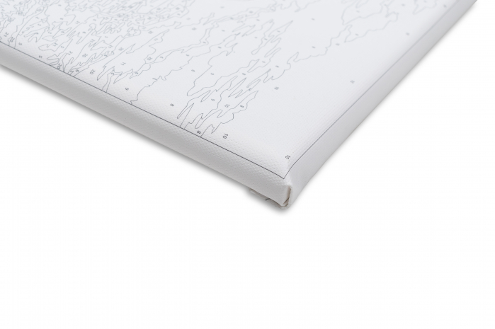 Set pictura pe numere, cu sasiu, Art jaguar, 40x50 cm [4]