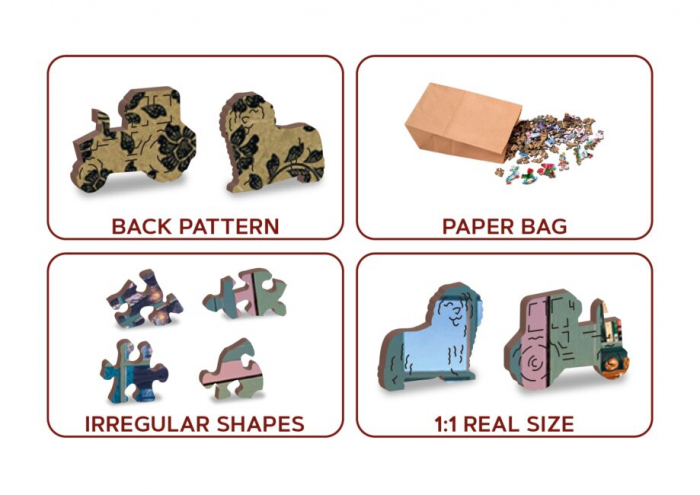 Puzzle 2D, din lemn, Camera de vacanta, 505 piese [6]