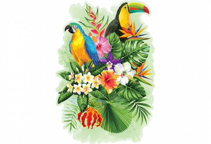 Puzzle 2D, din lemn, Pasari tropicale, 300 piese [2]