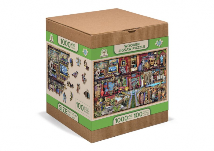 Puzzle 2D, din lemn, Rafturi de muzeu, 1010 piese [9]