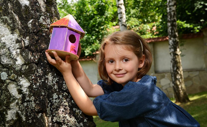 Puzzle 3D, Casuta Pasari 1 [4]