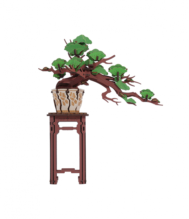 Puzzle 3D, din lemn, Bonsai pin, 115 piese [1]