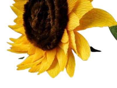 Floarea soarelui [1]