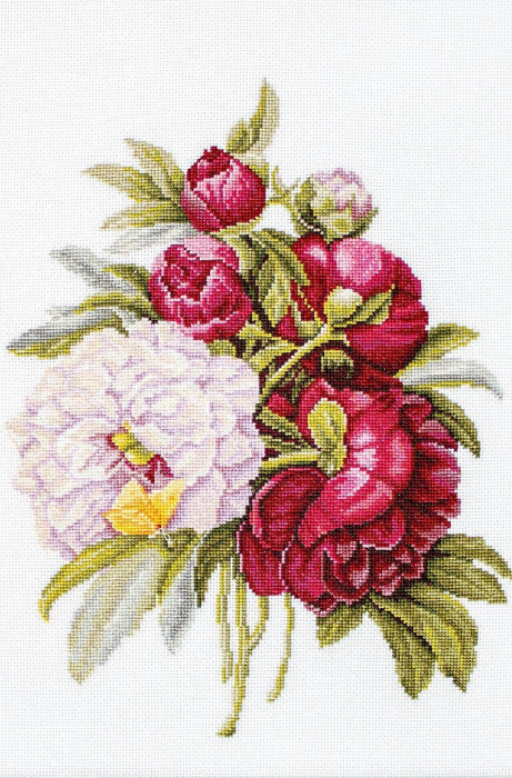 Set de brodat in cruciulita, Buchet de bujori, 20x26.5 cm [1]