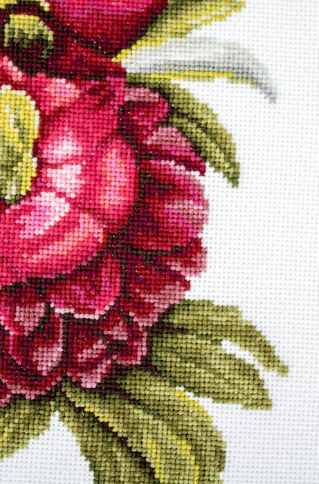 Set de brodat in cruciulita, Buchet de bujori, 20x26.5 cm [10]