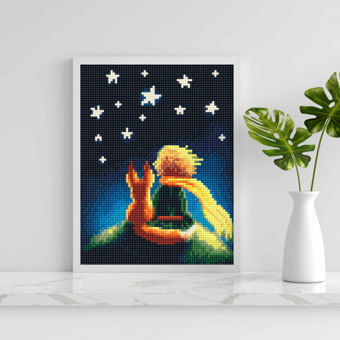 Set goblen cu diamante, cu sasiu, Micul print, 20x30 cm [4]
