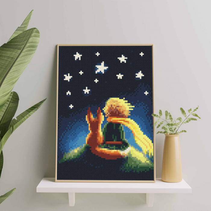 Set goblen cu diamante, cu sasiu, Micul print, 20x30 cm [3]