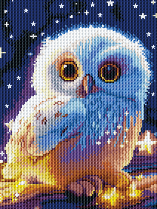 Set goblen cu diamante, cu sasiu, Pui de bufnita, 30x40 cm [1]