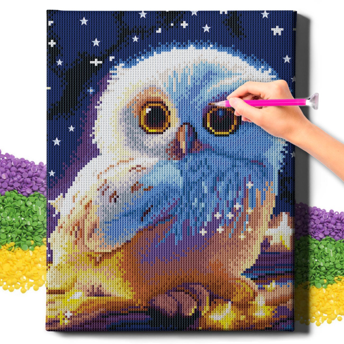 Set goblen cu diamante, cu sasiu, Pui de bufnita, 30x40 cm [3]