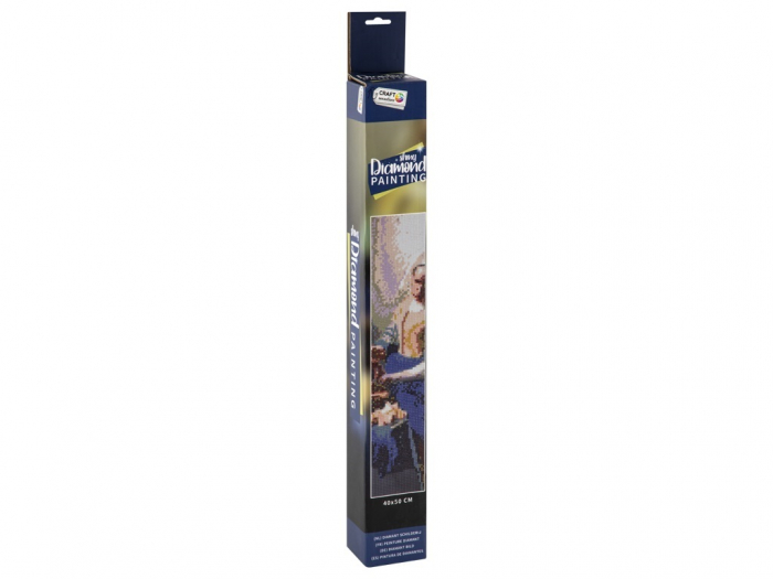 Set goblen cu diamante, fara sasiu, Laptareasa - Vermeer, 40x50 cm [5]