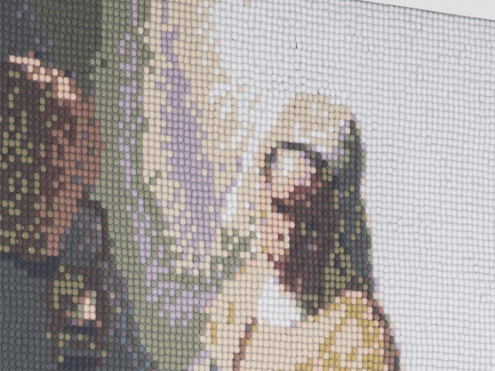 Set goblen cu diamante, fara sasiu, Laptareasa - Vermeer, 40x50 cm [2]