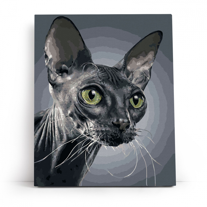 Set pictura pe numere, cu sasiu, Sfinx, 40x50 cm [2]