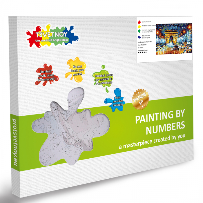 Pictura pe numere, cu sasiu, Arcul de Triumf, 40x50 cm [6]