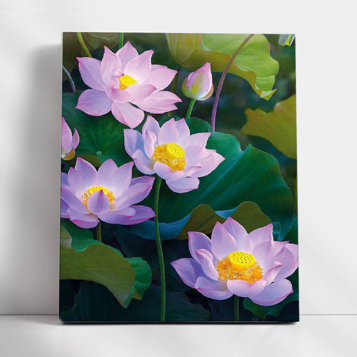 Set pictura pe numere, cu sasiu, Natura pura, 30x40 cm [2]