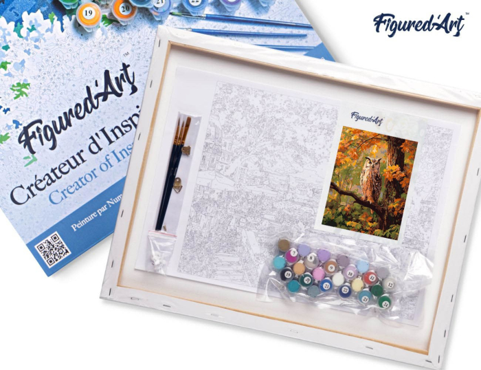 Set pictura pe numere, cu sasiu, Bufnita printre frunze ruginii, 40x50 cm [4]
