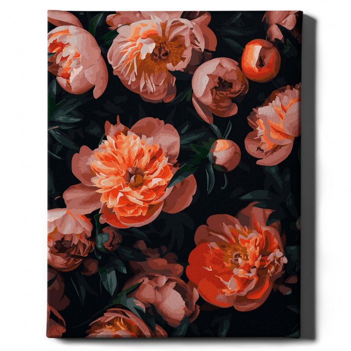 Set pictura pe numere, cu sasiu, Bujori 2 - canvas negru, 40x50 cm [2]
