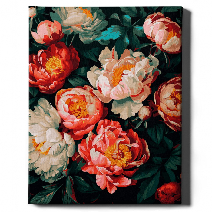 Set pictura pe numere, cu sasiu, Bujori 3 - canvas negru, 40x50 cm [2]