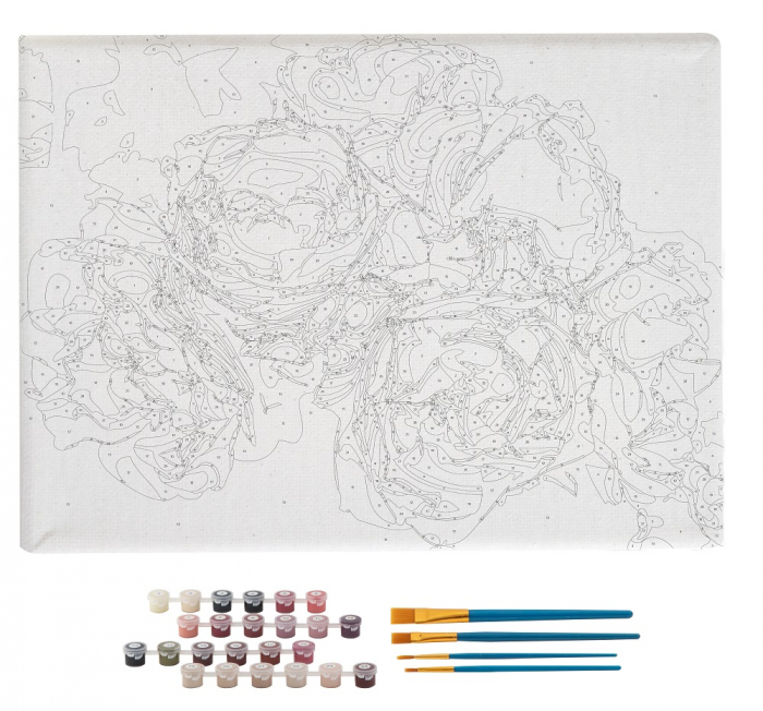 Set pictura pe numere, cu sasiu, Bujori, 40x50 cm [3]