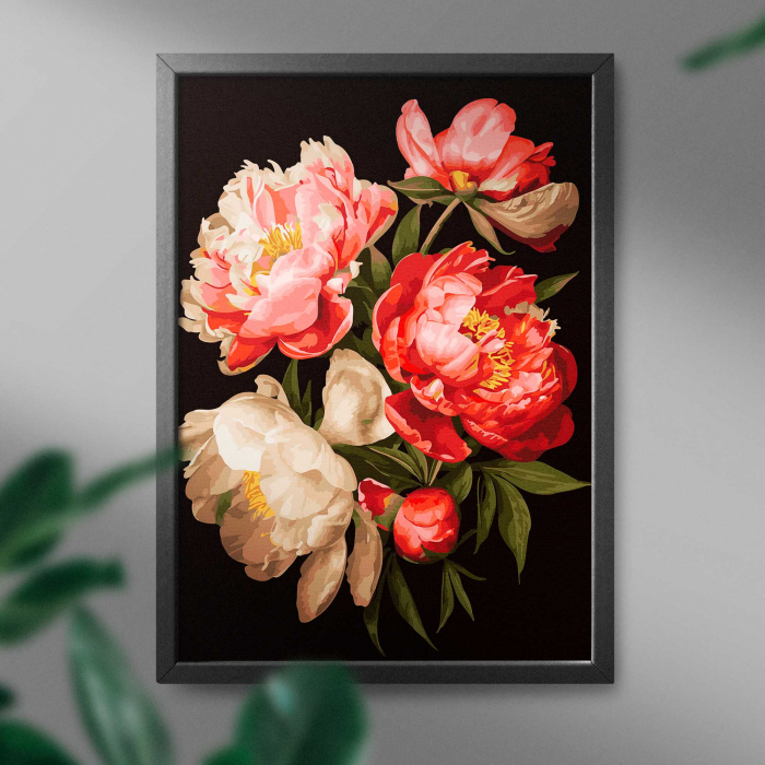 Set pictura pe numere, cu sasiu, Bujori 1 - canvas negru, 40x50 cm [4]