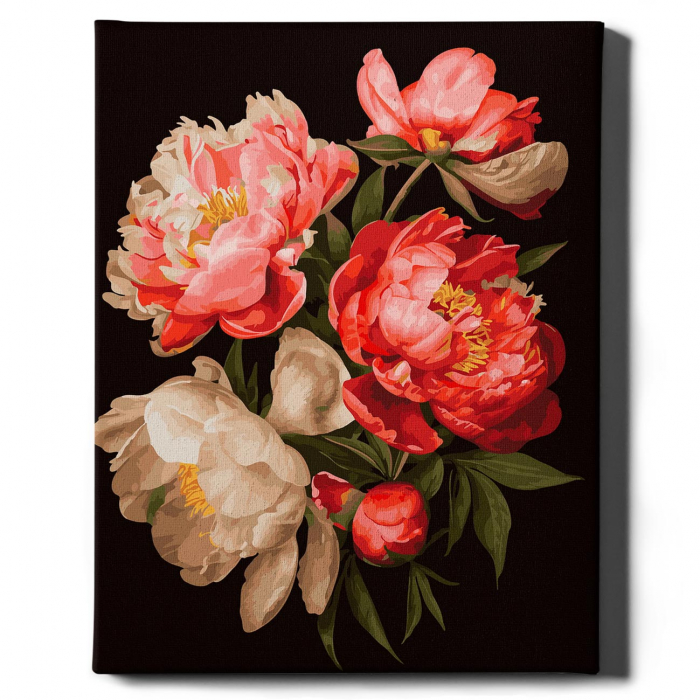 Set pictura pe numere, cu sasiu, Bujori 1 - canvas negru, 40x50 cm [2]