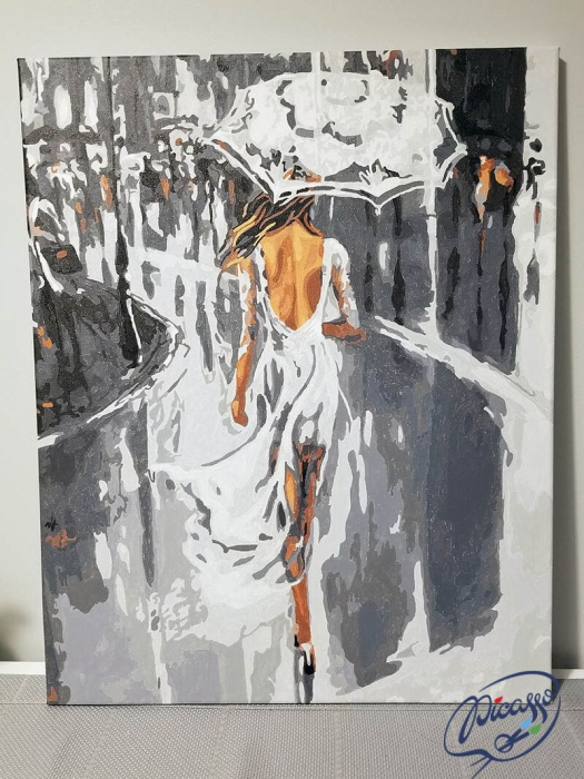 et pictura pe numere, cu sasiu, Rochie alba in ploaie, 40x50 cm [2]