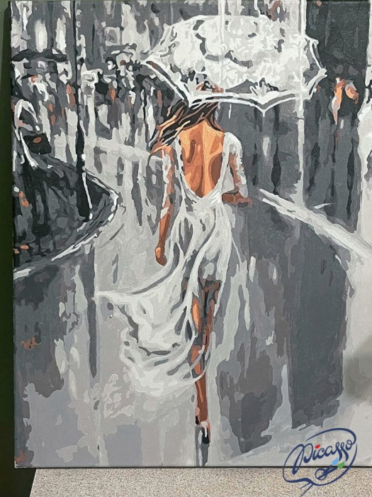 et pictura pe numere, cu sasiu, Rochie alba in ploaie, 40x50 cm [4]