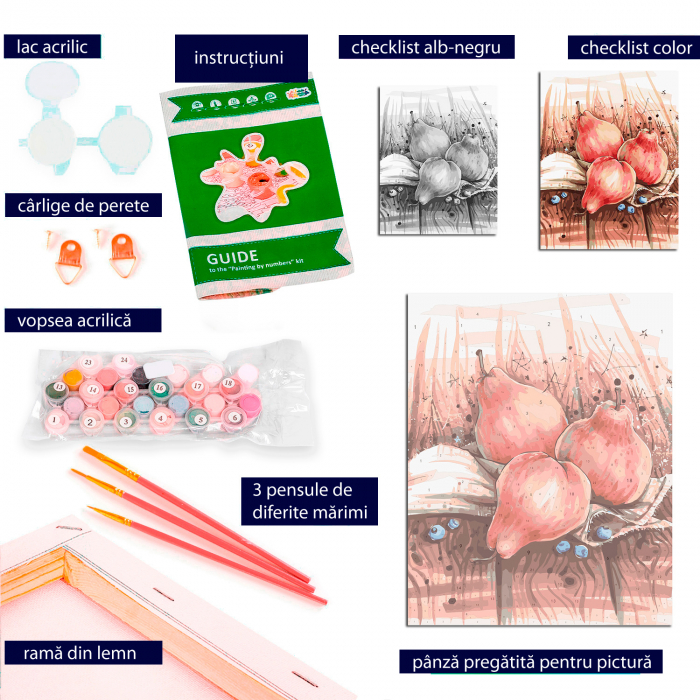 Pictura pe numere, cu sasiu, Natura Moarta cu Pere [5]