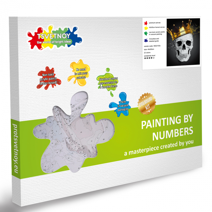 Pictura pe Numere, cu sasiu, Fashionable Skull, 40x50 [7]