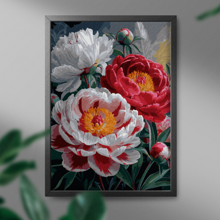 Set pictura pe numere, cu sasiu, Bujori infloriti, 40x50 cm [3]