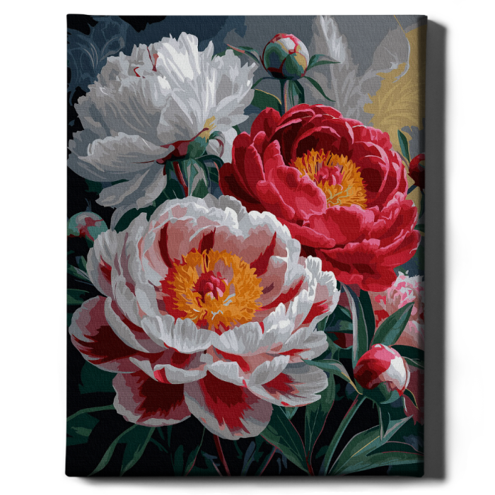 Set pictura pe numere, cu sasiu, Bujori infloriti, 40x50 cm [2]