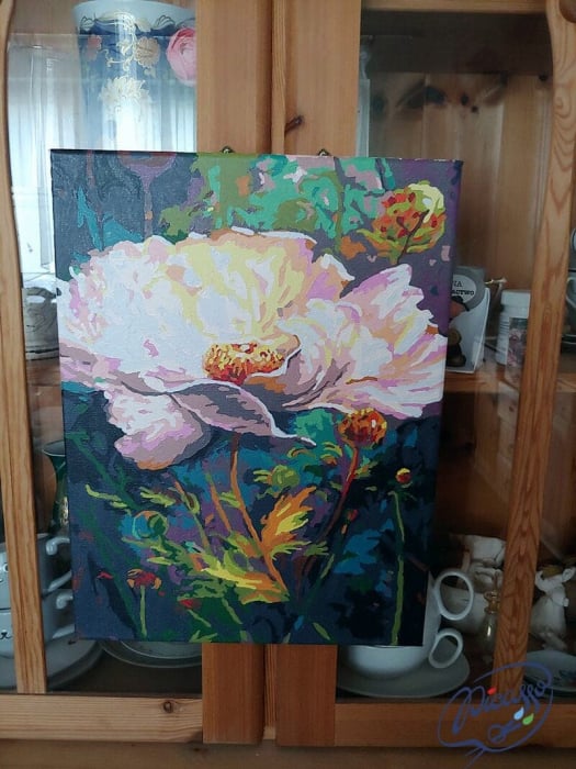 Set pictura pe numere, cu sasiu, Bujor salbatic, 30x40 cm [3]