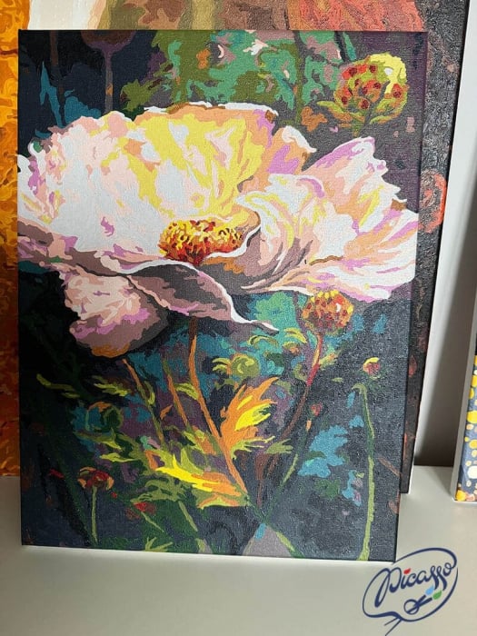 Set pictura pe numere, cu sasiu, Bujor salbatic, 30x40 cm [2]