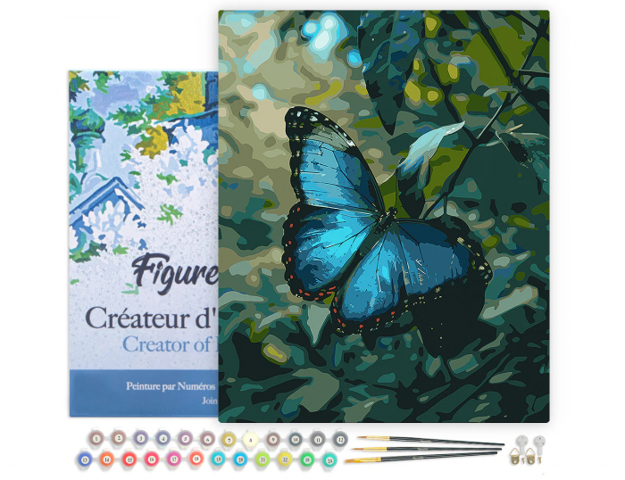 Set pictura pe numere, cu sasiu, Fluture Morpho Bleu, 40x50 cm [3]