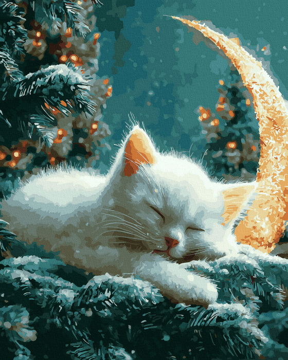 Set pictura pe numere, cu sasiu, Pisica si luna, 40x50 cm [1]