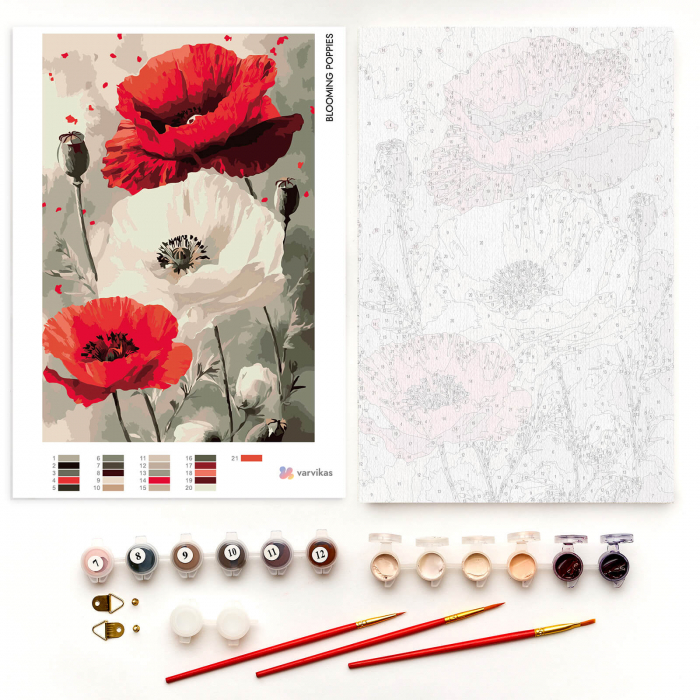 Set pictura pe numere, cu sasiu, Maci, 20x30 cm [3]