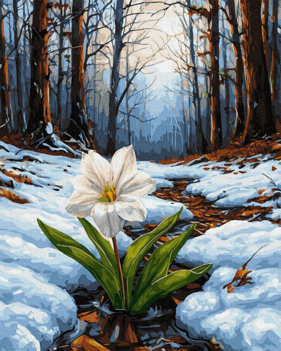 Set pictura pe numere, cu sasiu, Prima respiratie, 40x50 cm [1]